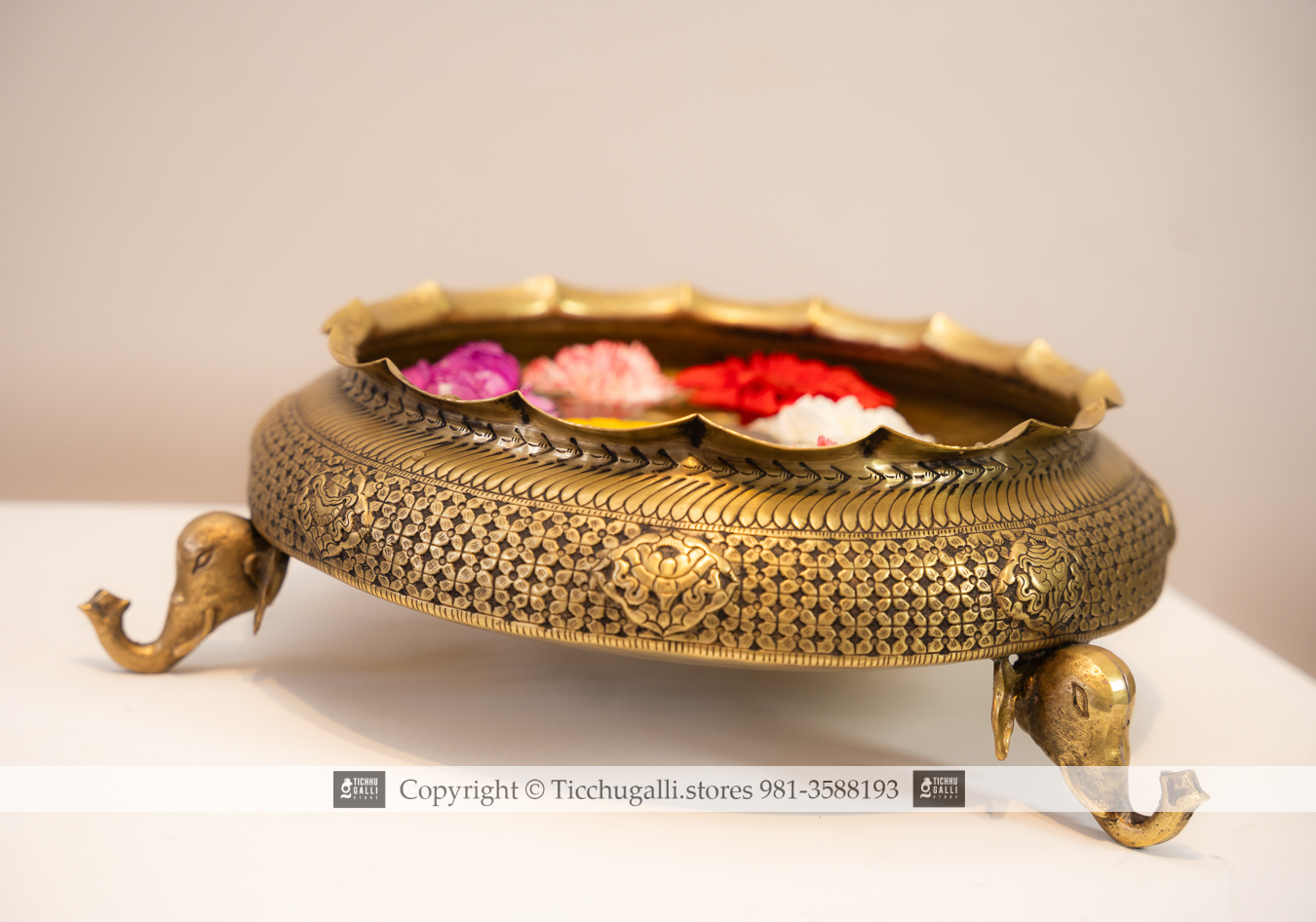 Elephant Head Curly Cross Butte astamagal kota - 12"